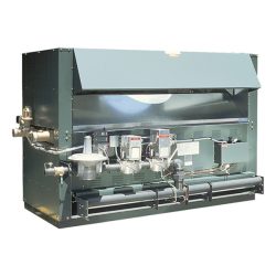 Raytherm Indoor 2100-4001 raypak rheem