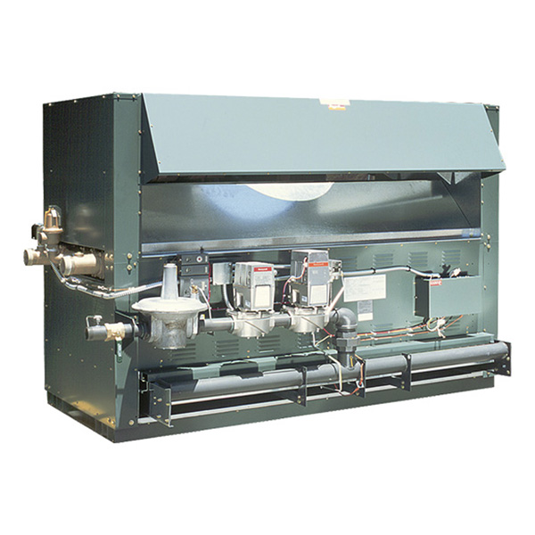 Raytherm Indoor 2100-4001 raypak rheem