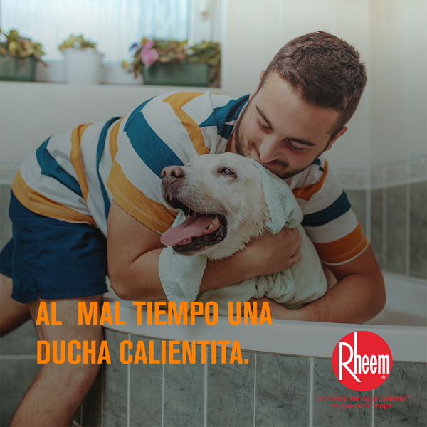 Calentador de agua eléctrico Elegant Digital 110v 4kw - Imagen 6