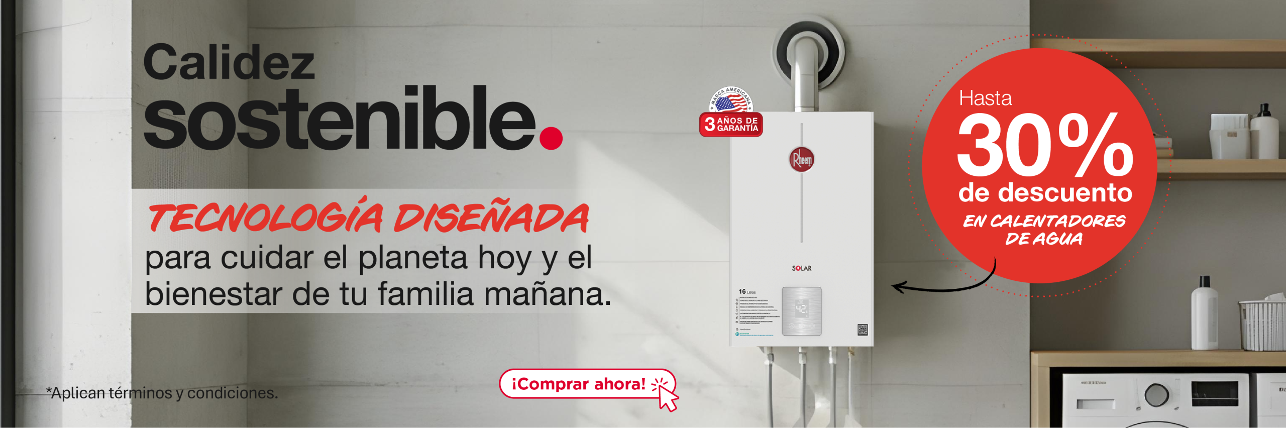 Calentadores_de_paso_rheem