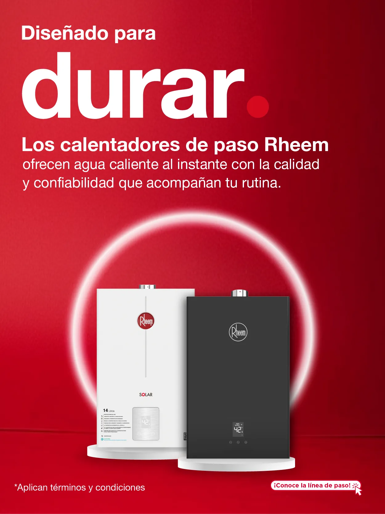 Calentador de Paso de Agua Rheem